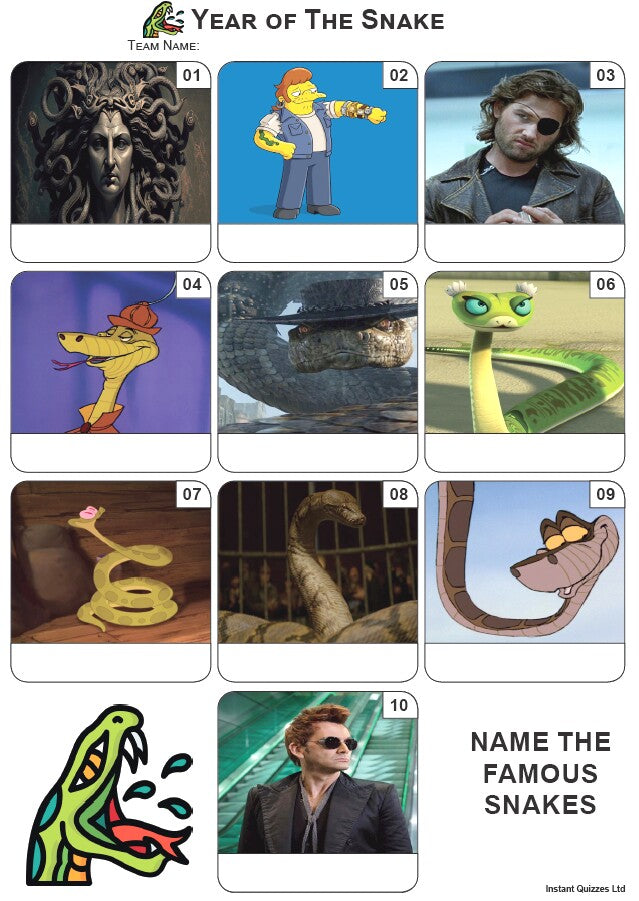 Year Of The Snake Mini Picture Quiz - Z4137