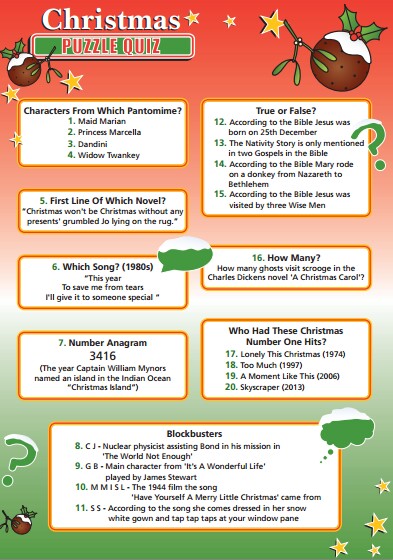 Christmas Puzzle Quiz - H255