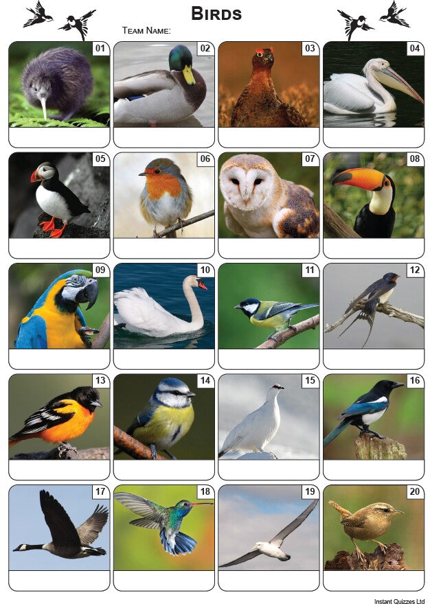 Birds Picture Quiz - PR2227