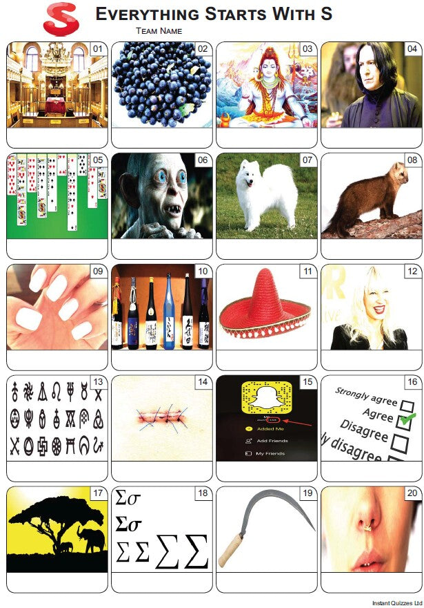 Everything Starts With 'S' Picture Quiz - PR2365