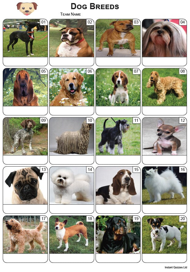 Dog Breeds Picture Quiz - PR2421