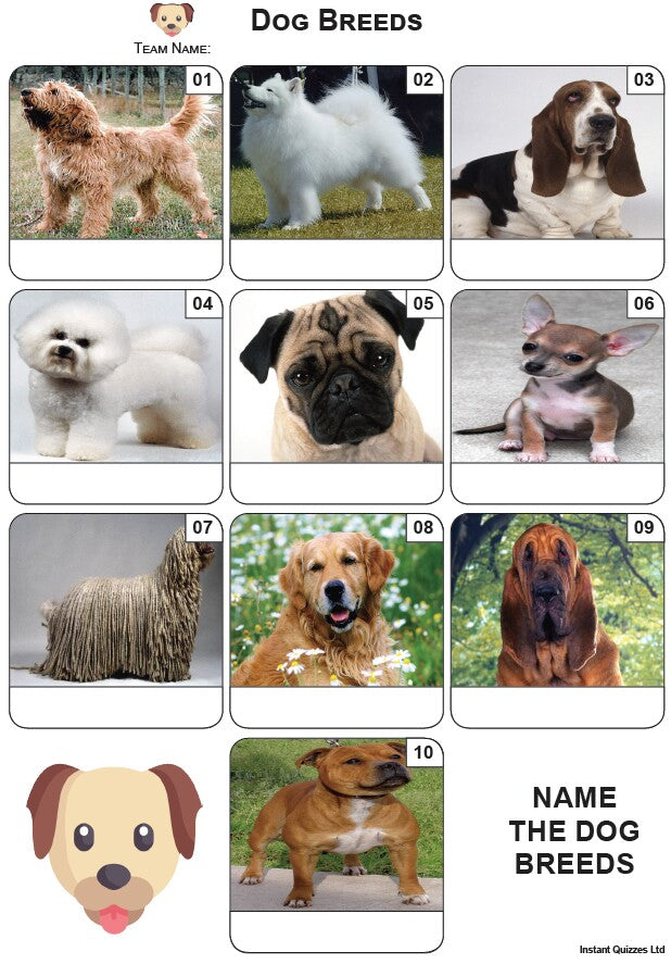 Dog Breeds Mini Picture Quiz - Z3919