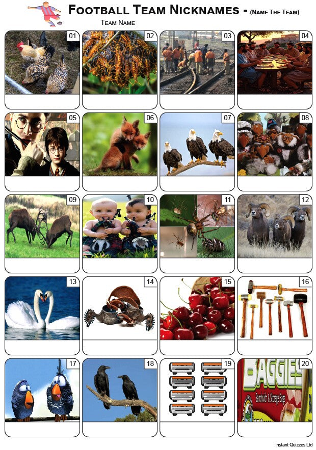 Football Team Nicknames Picture Quiz - PR2568 – Instant Quizzes