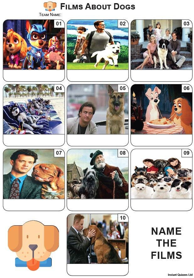 Fun Quizzes