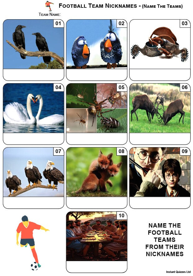 Fun Quizzes